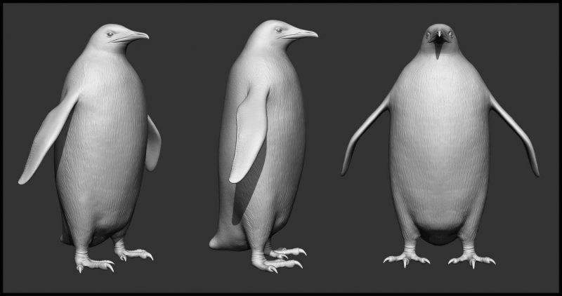 Emperor-Penguin_Render6