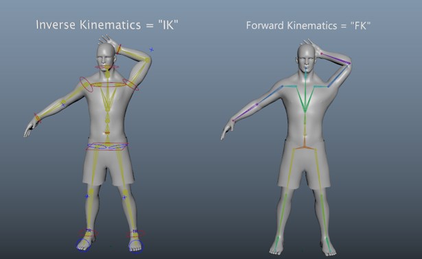 New First Person Rig [3D Models]